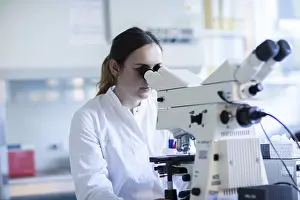 Laboratory Examination Process Stampe: Young laboratory assistant with microscope and sample working in a laboratory with light microscope