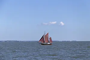 Wustrow Saaler Bodden Stampe: Zeesboot Regatta, Wustrow, Saaler Bodden