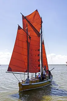 Sailboat Germany Stampe: Zeesboot, Wustrow, Saaler Bodden
