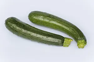 Raw Vegetable Nutrition Stampe: Zucchini