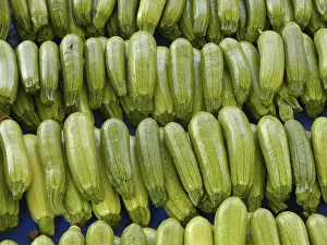 Zucchini Nutrition Stampe: Zucchini