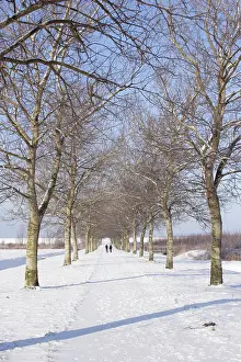 Dutch Winter Landscapes Stampe: Almere