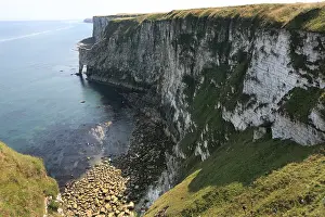 UK Seabirds Stampe: Bempton Cliffs