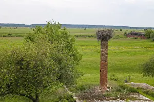 Poland National Park Stampe: Biebrza