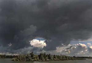 Agosto Stampe: Biesbosch