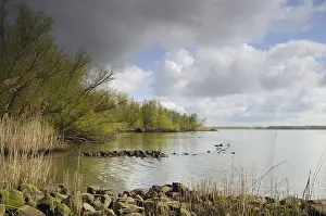 Netherlands Landscape Photography Stampe: Biesbosch