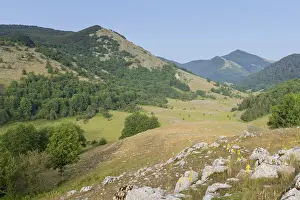 European Landscapes Nature Stampe: Campolongo