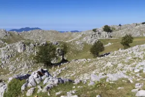 Mountain Top Views Stampe: Cervati mount