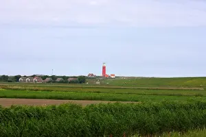 Texel Landscape Stampe: De Cocksdorp Texel