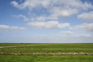 Cloudy Sky Netherlands Stampe: Dijk, Dike