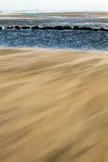 Stormy Seas Stampe: Drifting sand