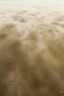 North Sea Beaches Stampe: Drifting sand