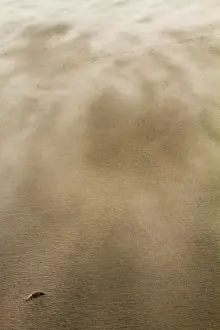 Stormy Beach Scene Stampe: Drifting sand