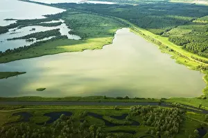 Nature Reserves In The Netherlands Stampe: Flevopolder