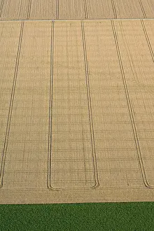 Farmland Aerial View Stampe: Flevopolder