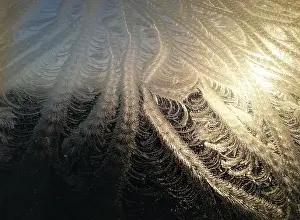 Frosty Winter Scene Stampe: Frost on window