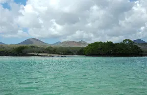 Galapagos Islands Stampe: Galapagos