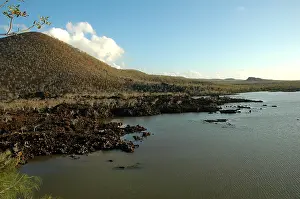 Galapagos Islands Stampe: Galapagos