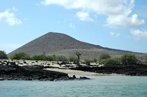 Galapagos Islands Stampe: Galapagos