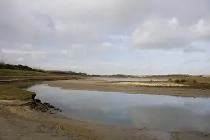Europe Nature Reserve Stampe: Het Zwin