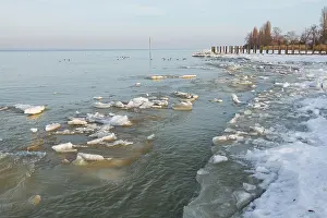 Frozen Lake Scenery Stampe: Lake Constance in winter