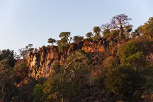 Low Angle Landscape Photography Stampe: Low angle view of cliffs, lined with trees including baobabs