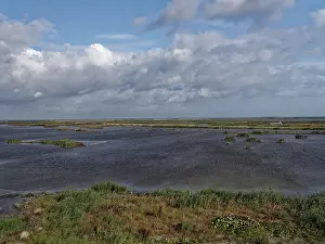 European Nature Views Stampe: Markerwadden
