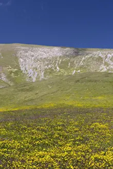 Italian Mountain Landscapes Stampe: Mountain Landscape
