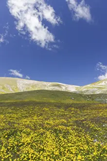 Italian Mountain Landscapes Stampe: Mountain Landscape