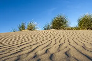 Settembre Stampe: I motivi di sabbia.