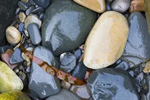 Immagini datate 30 maggio 2016: Pebbles