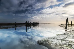 Salt Marsh Landscape Photography Stampe: Port de Cocksdorp