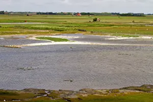 Texel Landscape Stampe: De Putten, De Putten