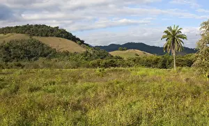 South America Photography Stampe: Regua
