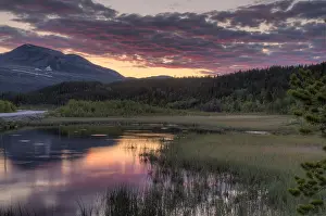 Rondane National Park Norway Stampe: Rondane