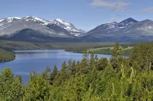 Rondane National Park Norway Stampe: Rondane