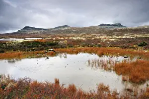 Rondane National Park Stampe: Rondane