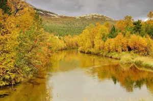 Rondane National Park Scenery Stampe: Rondane