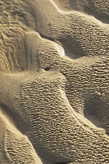 Wadden Sea Nature Reserve Stampe: Sand pattern