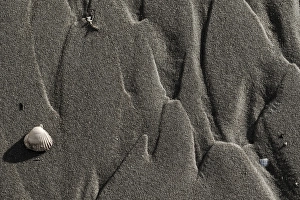 Low Tide North Sea Coast Stampe: Sand pattern