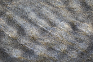 North Sea Sandy Shores Stampe: Sand pattern