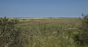 Texel Landscape Stampe: Slufter