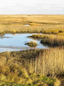 Texel Landscape Stampe: The Slufter