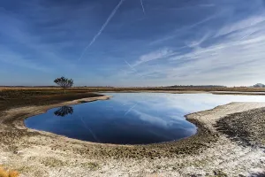 Wetland Landscape Germany Stampe: Solitaire tree at the field