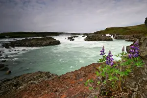 Europe Landscapes Stampe: Urridafoss