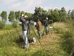 Bird Migration Stampe: Vogelaar, Birdwatcher