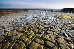 European Water Scenery Stampe: Waddensea