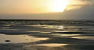 Netherlands Coast Stampe: Waddenzee, Waddensea
