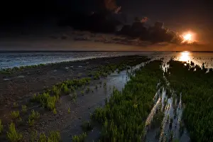 Wadden Sea Nature Reserve Stampe: Waddenzee, Waddensea
