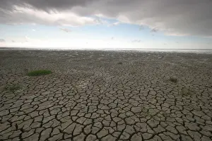 Europe Landscape Stampe: Waddenzee, Waddensea